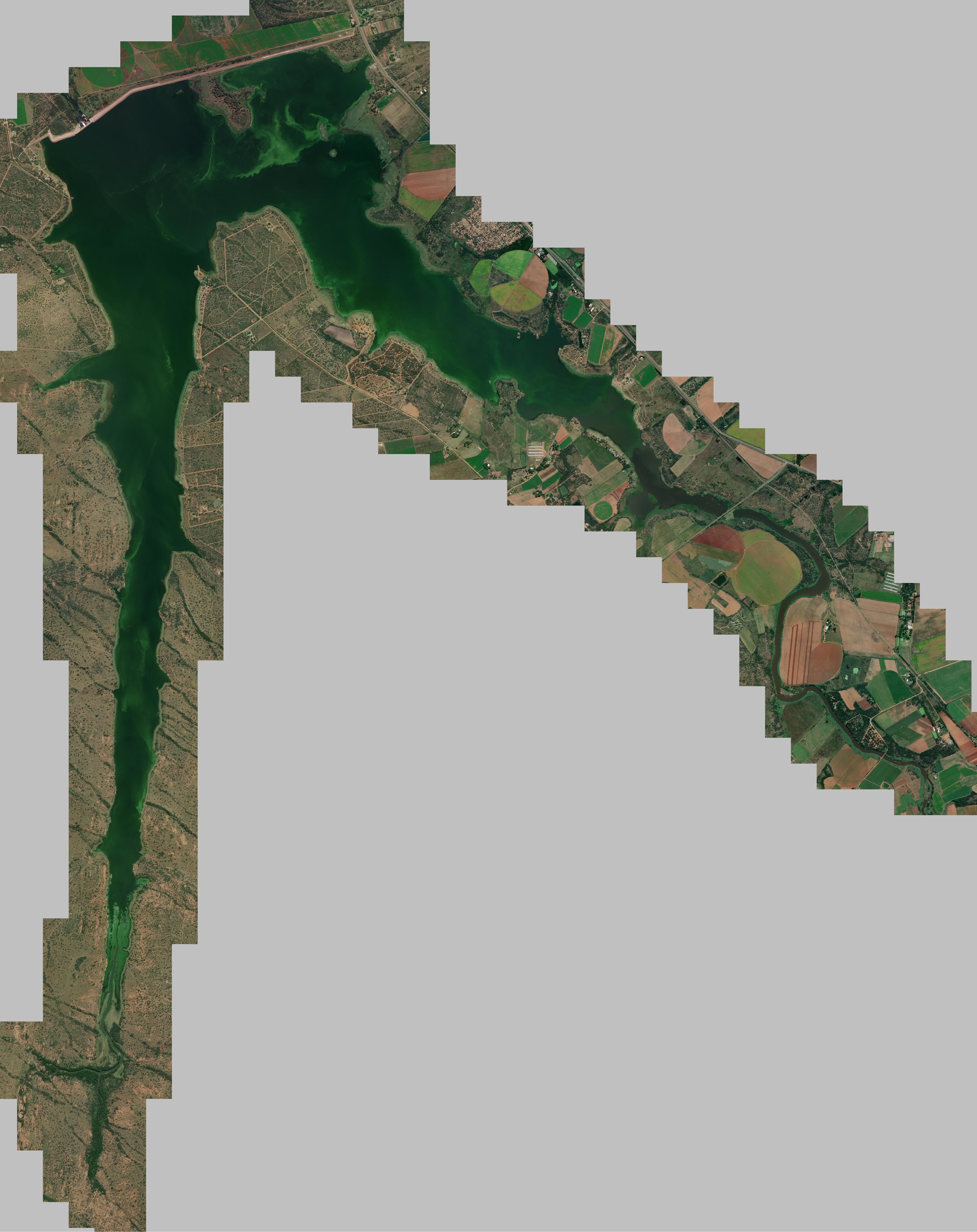 Photo of Roodekoppies Dam